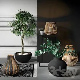 Decorative 38